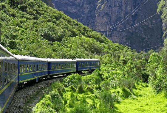 bus-train